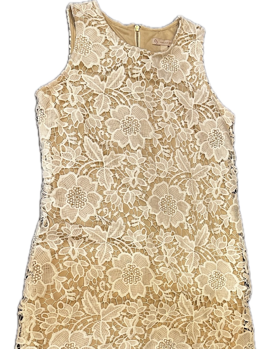 Cream Lace Shift Dress